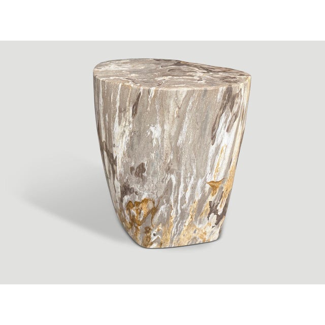 2020s Andrianna Shamaris Impressive High Quality Ancient Petrified Wood Side Table For Sale - Image 5 of 6