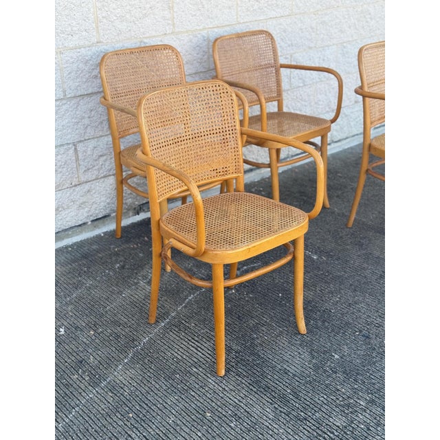 Josef Hoffmann A Set of Four Mid Century Thonet Style Bentwood Prague Chairs Chairs For Sale - Image 4 of 11