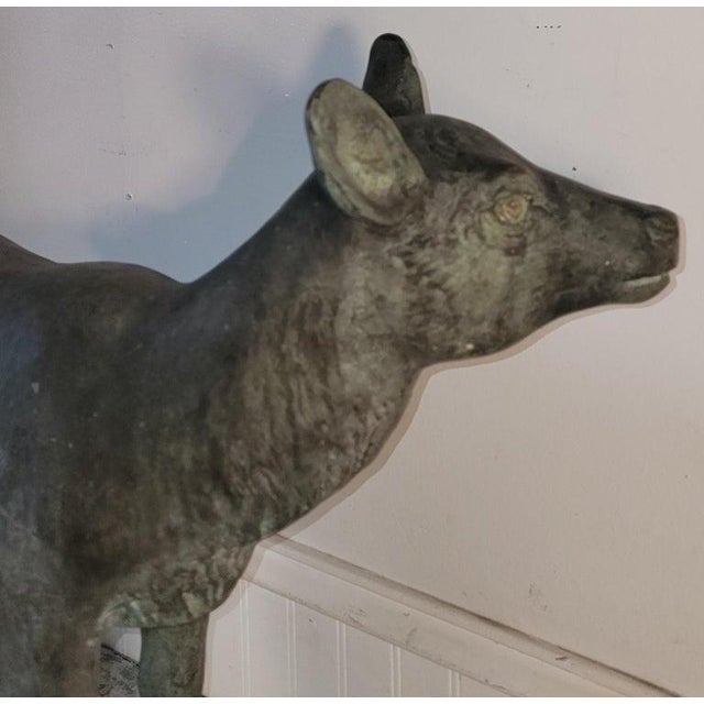20th Century Bronze Deer Statue W/ Amazing Patina For Sale - Image 4 of 8