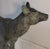 20th Century Bronze Deer Statue W/ Amazing Patina For Sale - Image 4 of 8