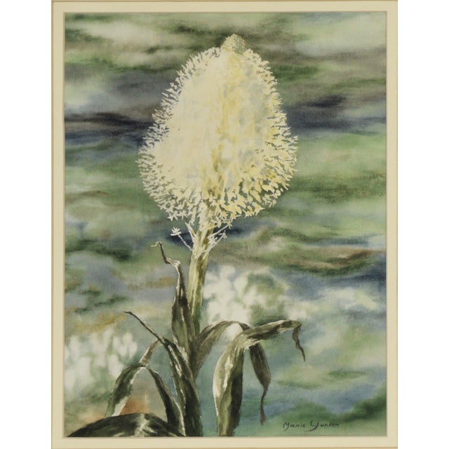 Beargrass - Original Watercolor on Paper Original watercolor depicting beargrass, also known as horse tail, by Marie...