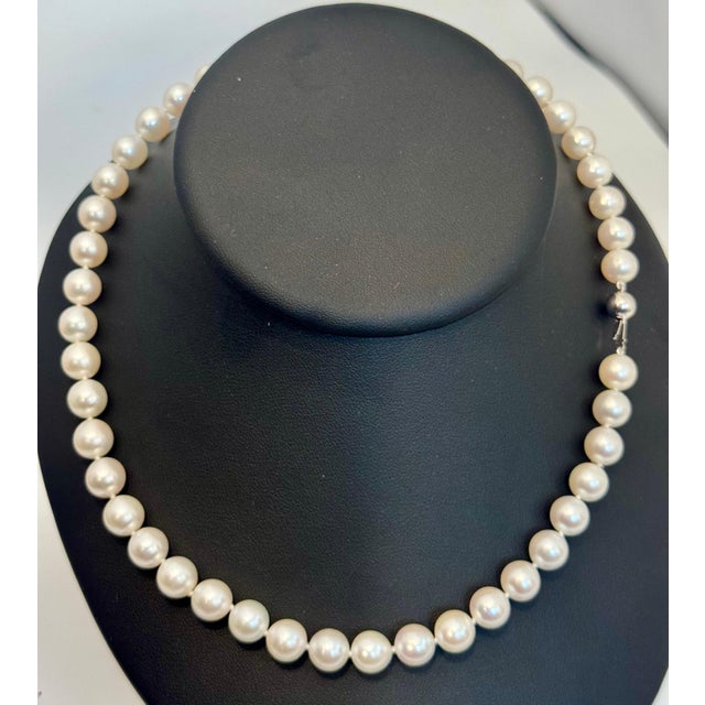 Early 21st Century Vintage Cultured Akoya Pearl Necklace Length 17" , 18 Karat White Gold Clasp For Sale - Image 5 of 18