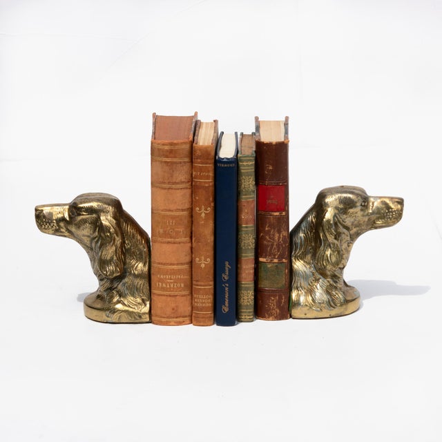 Pair of cast brass bookends modeled as the heads of spaniels, or gun-dogs, and worked as opposing profiles. Long pendant...