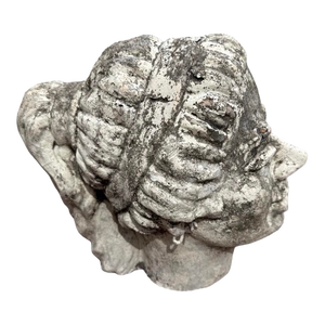Vintage Head Concrete Sculpture