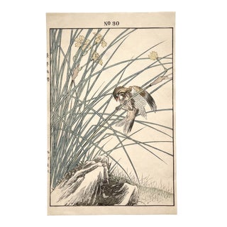 Imao Keinen, "Chestnut Bunting and Narcissus Daffodil," First-Edition Antique Japanese Woodblock Print 1891 For Sale
