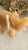 Pair of Vintage Hand-Carved Honey Onyx Elephant Figurines For Sale - Image 16 of 16