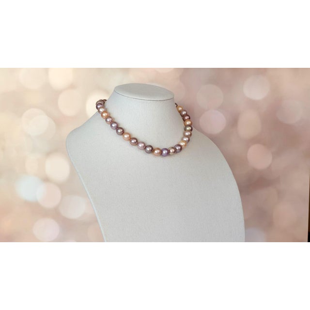 Metal Genuine Freshwater Edison Pearl Necklace With 14k Gold Clasp For Sale - Image 7 of 11