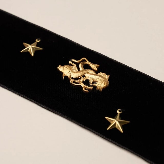 2020s Schumacher x Charlap Hyman & Herrero / Pilar Almon Carmen Velvet Tape Trim in Black For Sale - Image 5 of 5