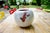 Vintage German Vase by Horst Kerstan, 1998 For Sale - Image 3 of 9