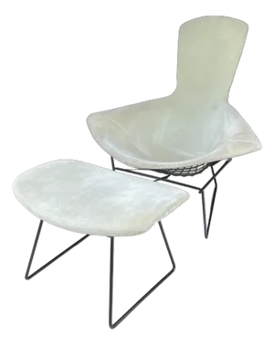 Harry Bertoia Bird Chair and Ottoman