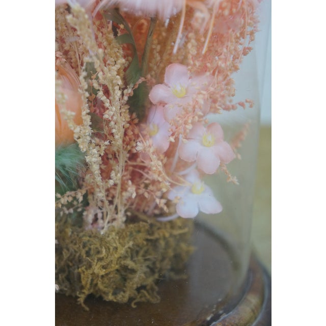 Late 20th Century Floral Butterfly Diorama Taxidermy Display Apothecary Cloche Dome 12" For Sale - Image 12 of 14