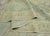 Brown Turkish Oushak Antique Look Rug 12'4" x 14'10" #18010 For Sale - Image 8 of 8