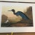 John James Audubon's 'Birds of America'- M. Bernard Loates Edition (Set of Prints) For Sale - Image 4 of 13
