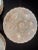 Early 20th Century Weimar Porcelain Oyster Plates For Sale - Image 4 of 11