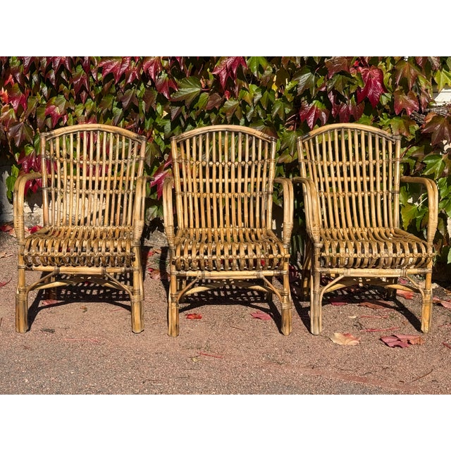 Vintage Armchairs in Rattan, 1970s, Set of 3 For Sale - Image 9 of 9