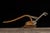 Industrial Early 20th Century Salesman Sample Plow For Sale - Image 3 of 7