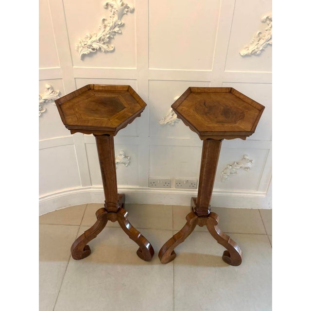 Antique Dutch Walnut and Kingwood Pedestal Torcheres, 1800, Set of 2 For Sale - Image 3 of 17