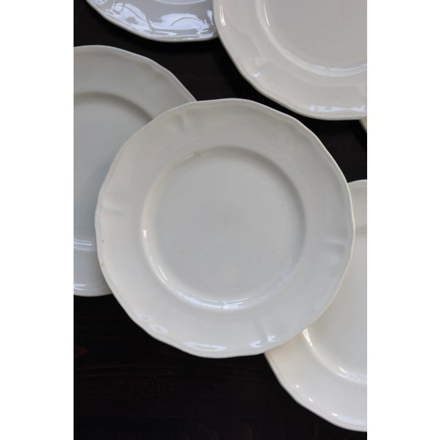 Vintage Ivory Earthenware Dinner Plates with Scalloped Edge, 1950s, Set of 6 For Sale - Image 4 of 8