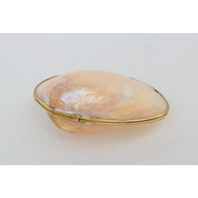 Early 21st Century Mother of Pearl Shell Box With Brass Trim For Sale - Image 5 of 6