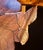 Lumen and Log Hand-Carved Black Walnut "Hibiscus & Hummingbird" Sculptural Coffee Table For Sale In Minneapolis - Image 6 of 9