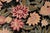 Shabby Chic Foliate 1990's Pak-Persian Black/Black Wool Rug - 9'0'' X 12'1''V For Sale In New York - Image 6 of 9