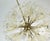 Mid-Century Modern Mid-Century Dandelion Chandelier in Brass and Glass, 1950s For Sale - Image 3 of 11