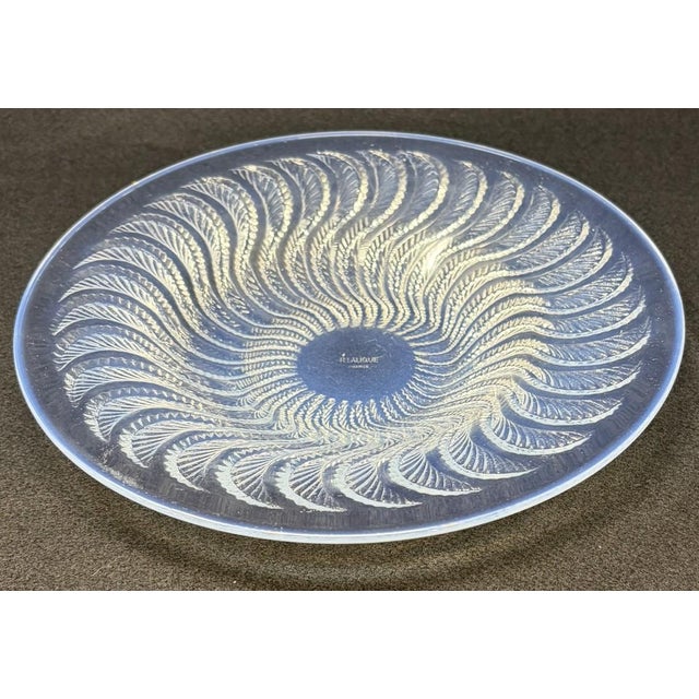 Rene Lalique Art Deco Opalescent Glass Plate/Shallow Dish In the Coupe-Plate form. Decorated with a sea anemone design. In...