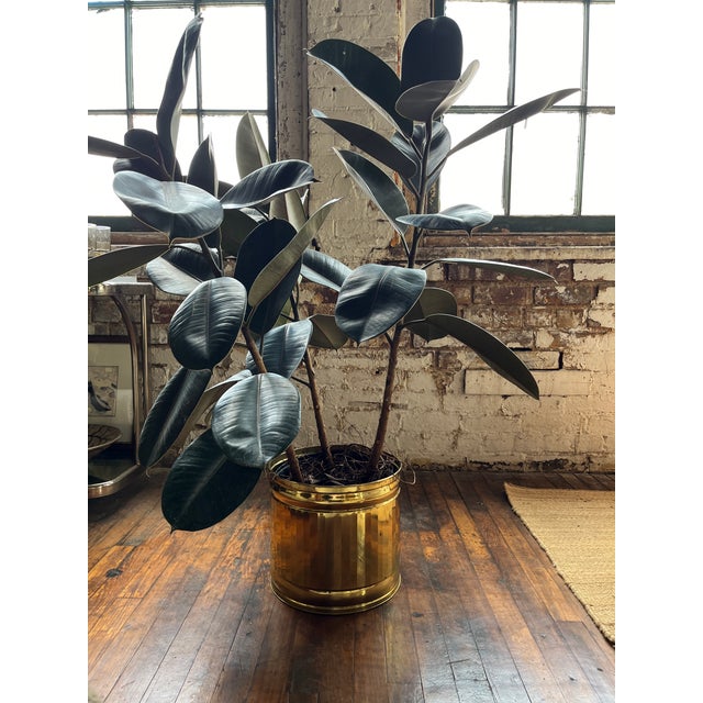 Metal 1980s Postmodern Minimalist Brass Cylindrical Planter For Sale - Image 7 of 7