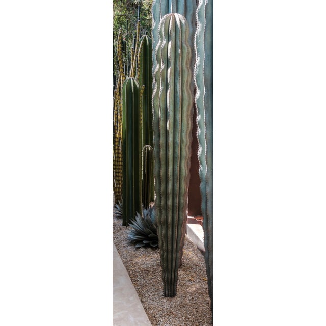 Orenzo 62" Hohokam Cactus Sculpture From Marrakesh, Morocco For Sale - Image 9 of 11