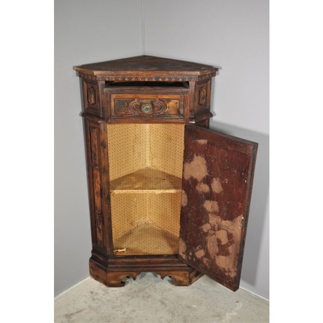 Walnut Root Corner Cabinet For Sale - Image 10 of 11