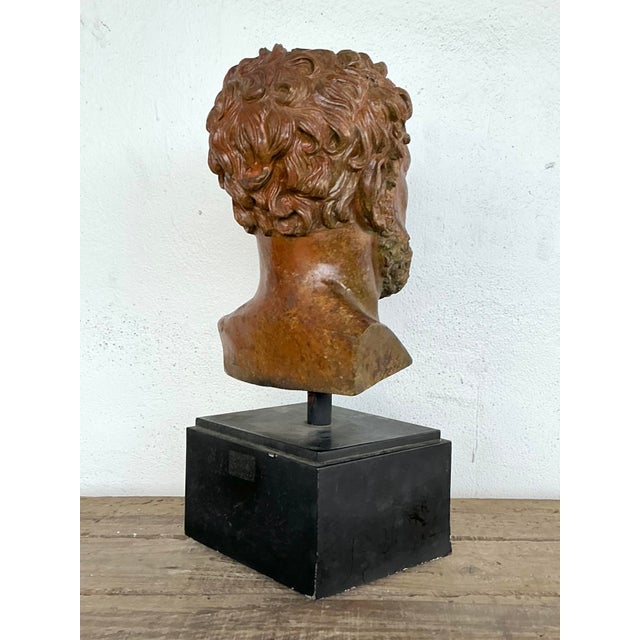 Wood Vintage Patinated Bronze Bust of Alexander the Great For Sale - Image 7 of 12