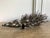 Pair of Australian Aboriginal Wood Sculpture Echidna For Sale - Image 4 of 9