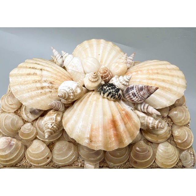 Tan Vintage Handmade Seashell Encrusted Lidded Box – Coastal / Organic Modern For Sale - Image 8 of 14