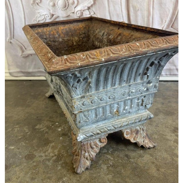Antique French Cast Iron Jardinière Planter, Louis XVI Style, 1880 For Sale - Image 9 of 13