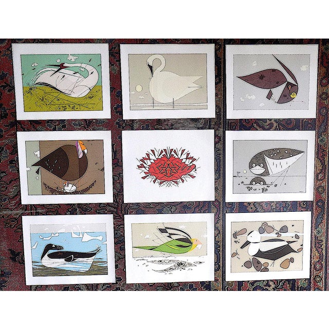 Vintage Charley Harper Modernist Abstracted Bird Lithographs (10.75" X 8.25") - Set of 9 For Sale - Image 11 of 11