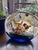Exquisite vintage Murano glass aquarium 8" tall, 9" wide, 9.5 pounds. Colorful detailed gold flecked fish and seaweed....