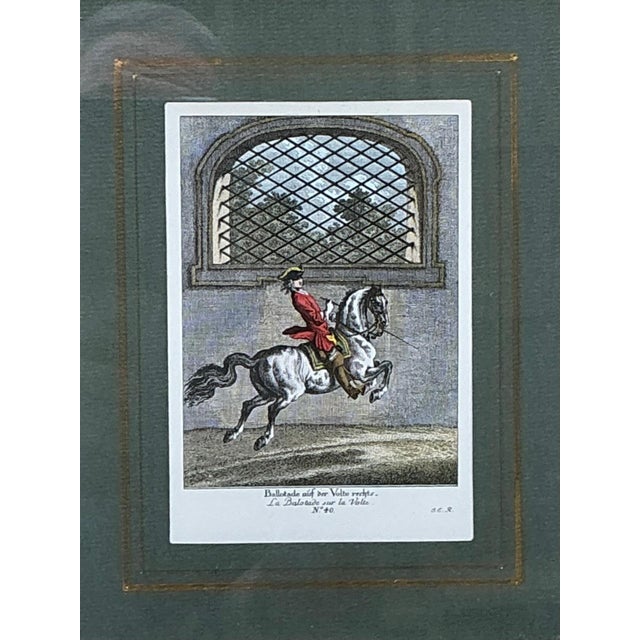 Vintage Equestrian Engravings in Gilt Frames - Set of 6 For Sale - Image 13 of 13
