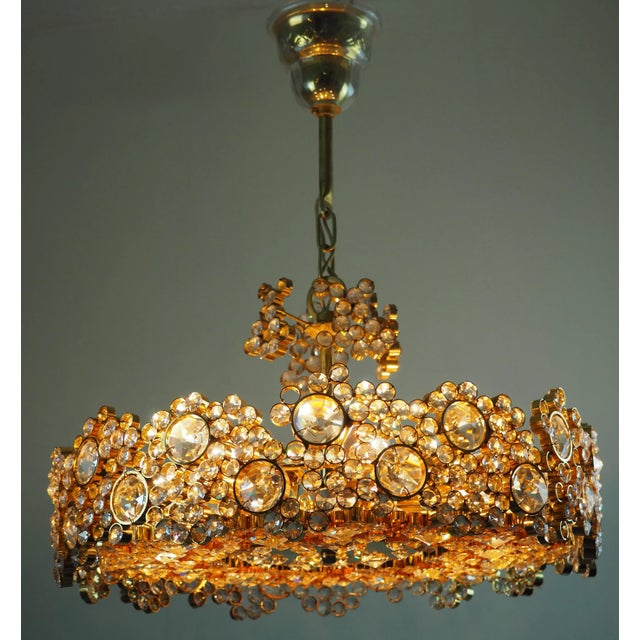Gold Gilt Brass & Crystal Chandelier in the style of Palwa or Lobmeyr, 1960s For Sale - Image 8 of 14