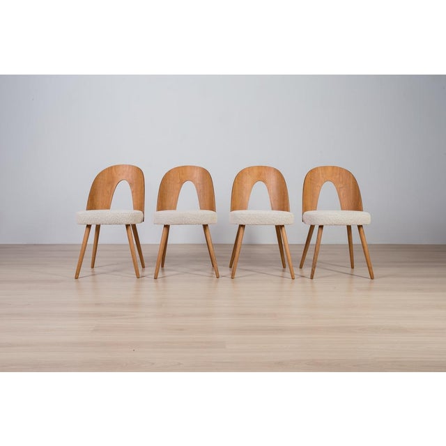 Walnut Dining Set by Antonín Šuman, 1960s, Set of 5 For Sale - Image 10 of 15