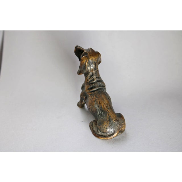 Miniature Bronze Dog Sculpture, 1905 For Sale - Image 4 of 5
