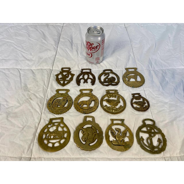 Set of 12 antique English horse brass ornaments. Horse brasses were used to decorate shire and parade horses for special...