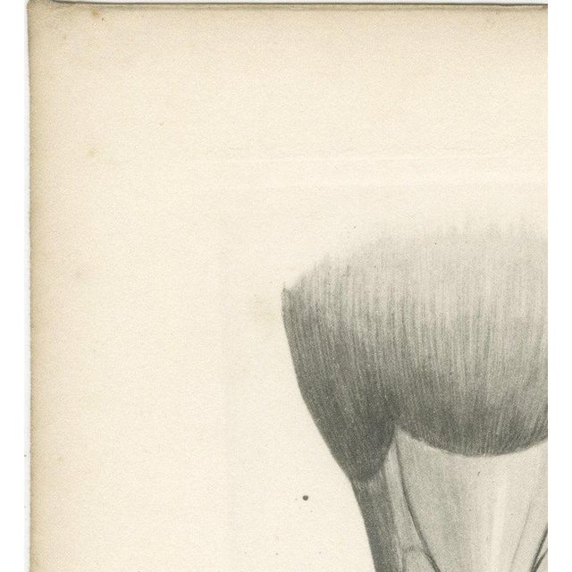 Paper After Lilian Medland, Heads of the Wild Geese, 1909, Print For Sale - Image 7 of 12