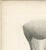 Paper After Lilian Medland, Heads of the Wild Geese, 1909, Print For Sale - Image 7 of 12