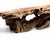 Wood 1970s Mid Century Modern Burlwood Organic Sculptural Coffee Table For Sale - Image 7 of 7