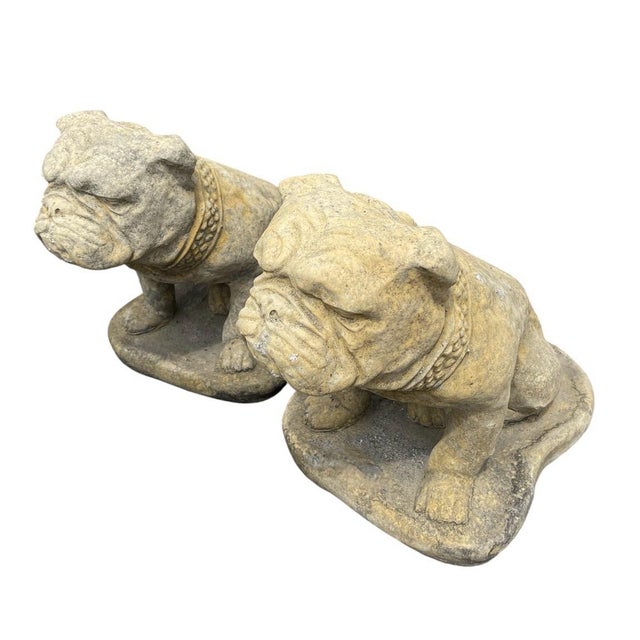 English A Pair of Vintage Cast Stone English Bulldog Statuary For Sale - Image 3 of 12