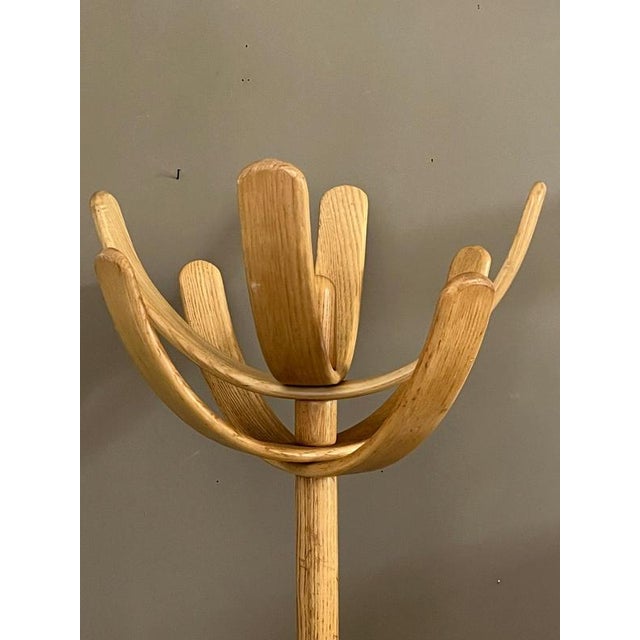 Tan Cactus Coat Rack by Mauro Pasquinelli for Pallavisini, 1970s For Sale - Image 8 of 13