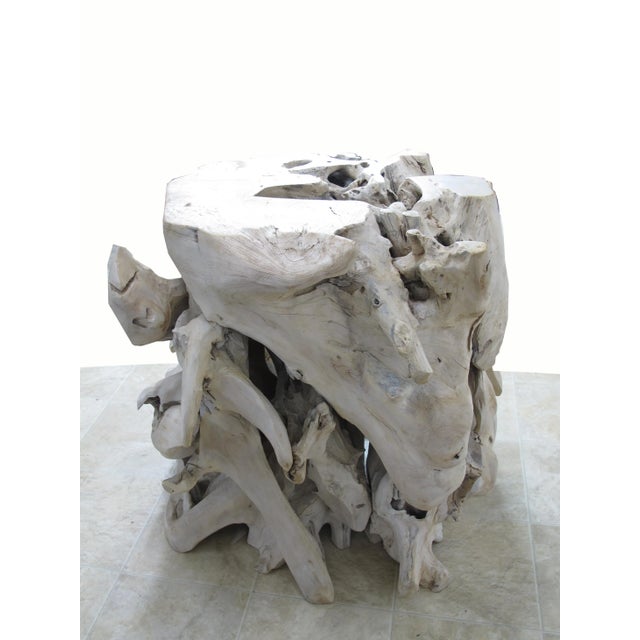 Contemporary Organic Modern Teak Root Sculpture 2 For Sale In Greensboro - Image 6 of 10