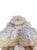 Marble Base Depicting Lions with Joined Bodies, 18th Century, Set of 2 For Sale - Image 3 of 10