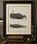 Original antique print of two sperm whales by bertuch, c. 1800 original antique hand-colored copper engraving depicting...
