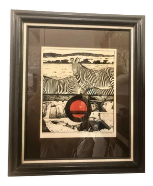 "Zebra, Circle, Water" Vintage 1970s Framed Print